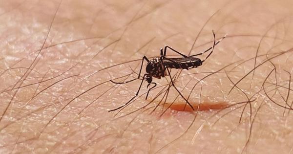 A Katasztrófavédelem hivatalosan is figyelmeztetett: a helyzet fokozódik, és hamarosan megérkezhet a szúnyoginvázió. Készenlétben állnak a szakemberek, hiszen a rovarok elszaporodása komoly problémákat okozhat.