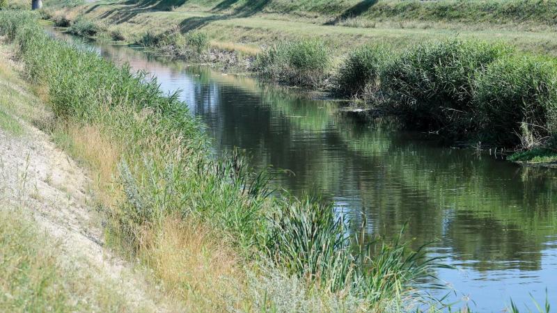 Felfedezés a Nádor-csatorna partján: egy törött orrú, körülbelül 50 éves férfi holttestére bukkantak.