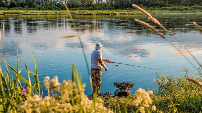 Fedezd fel Komárom-Esztergom varázslatos horgászhelyeit: itt valóban megéri bevetni a horgot!