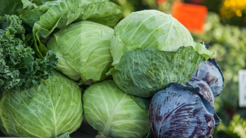 Ez tényleg elképesztő: a káposzta ára itt már háromszorosa a tavalyi szintnek - Agrárszektor.
