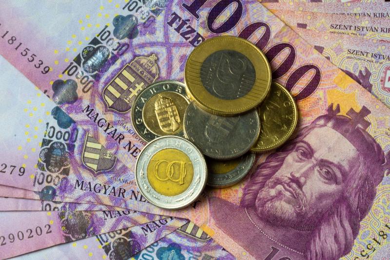 Fedezd fel a szuper ritka magyar érmék titkait, amelyek váratlanul bukkantak fel a forgalomban! Ne hagyd ki a lehetőséget, hogy rátalálj ezekre az értékes darabokra, és akár gazdag is lehess! Keresd őket, és tedd egyedivé gyűjteményedet!