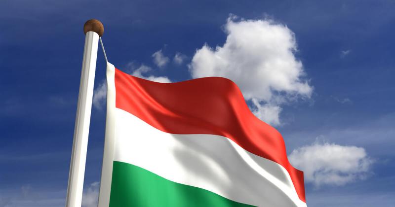 Döntsön! Békemenet vagy Magyar Péter felvonulása október 23-án?